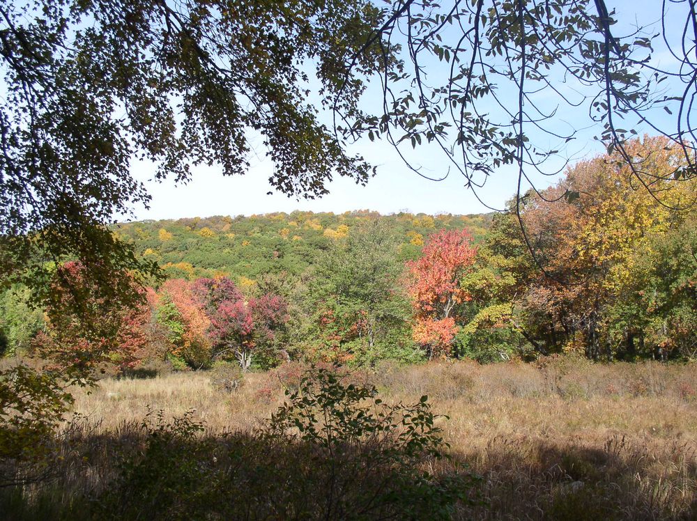 bear mountain 3